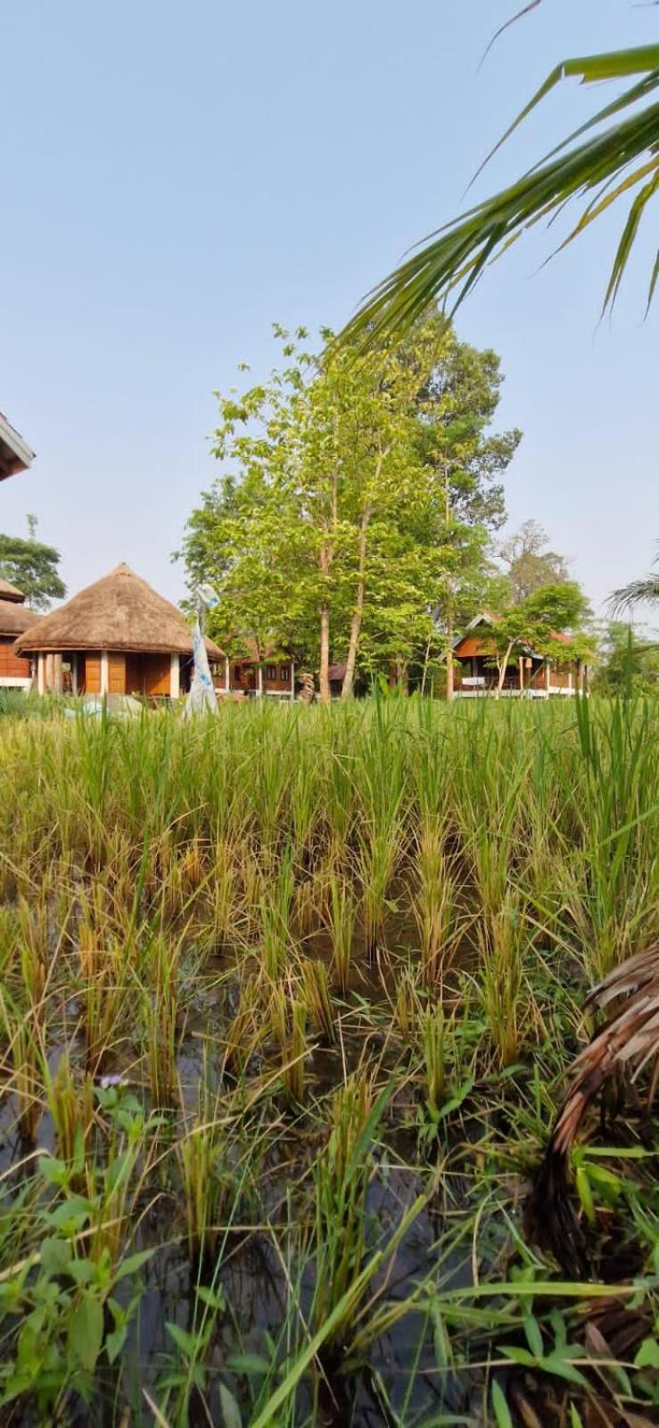 Bolaven Garden Bungalow And Tent - Tad Lo Ban Kiangtat Dış mekan fotoğraf