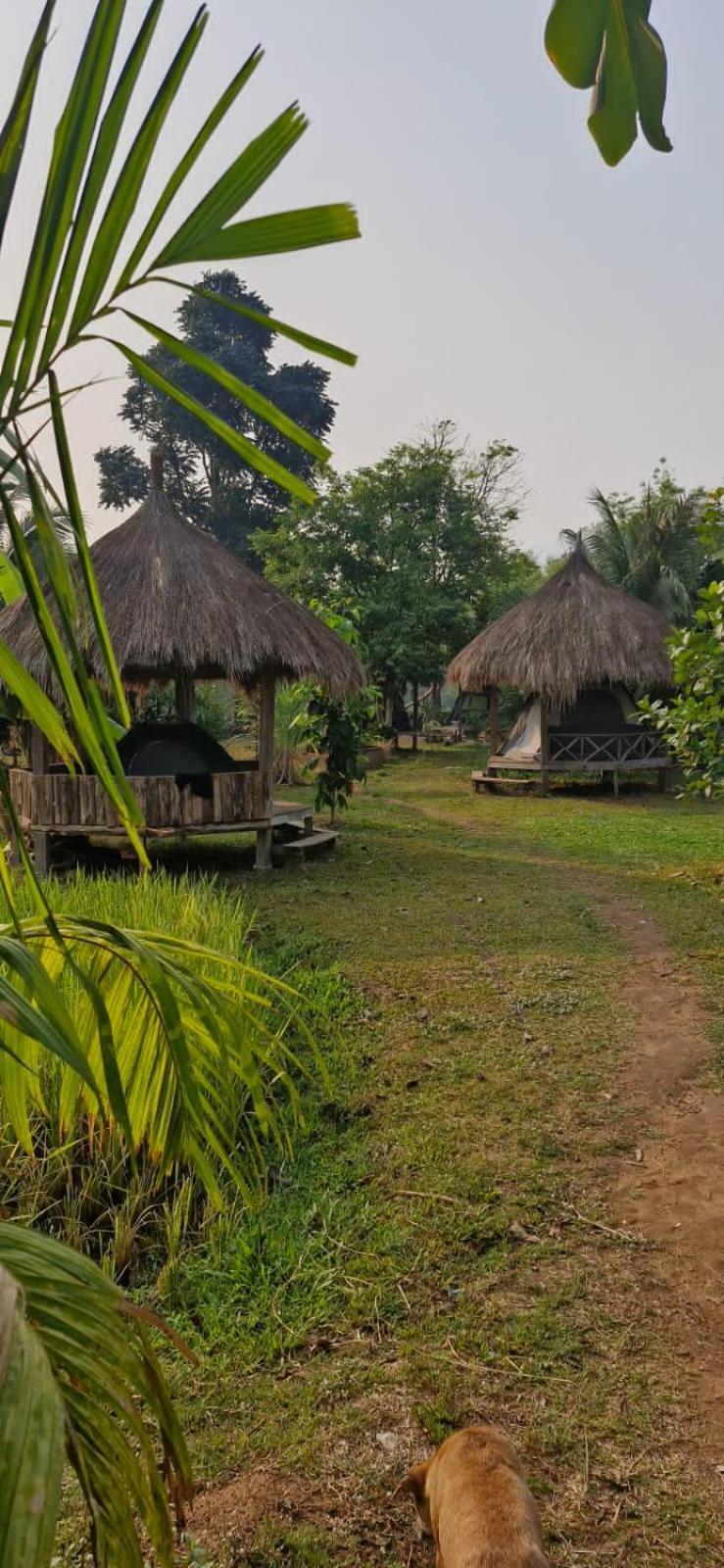 Bolaven Garden Bungalow And Tent - Tad Lo Ban Kiangtat Dış mekan fotoğraf