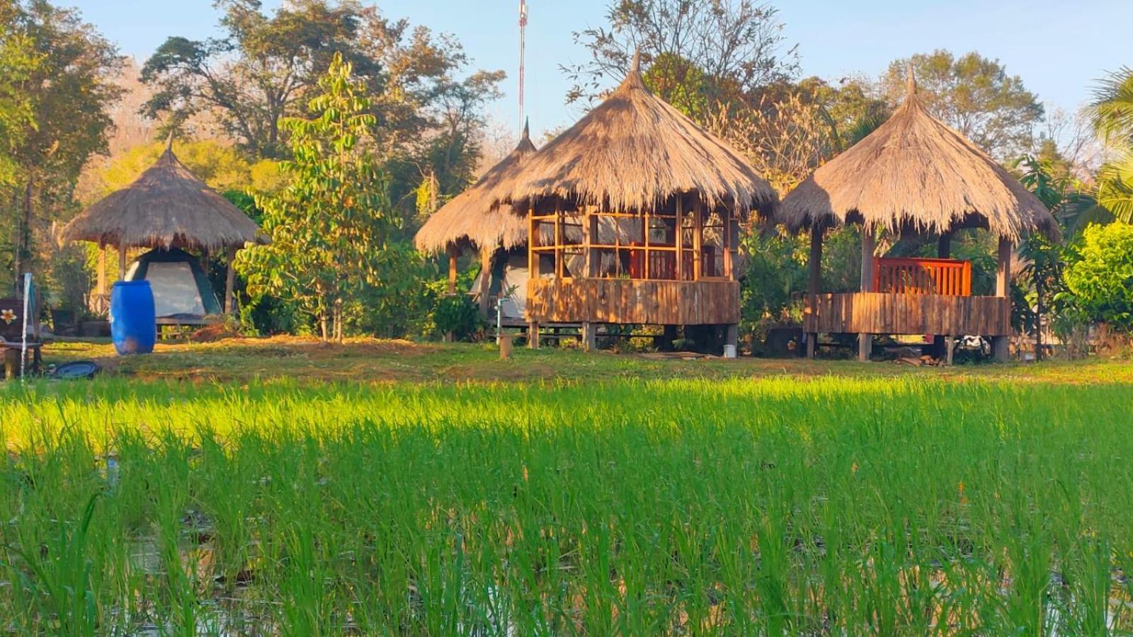 Bolaven Garden Bungalow And Tent - Tad Lo Ban Kiangtat Dış mekan fotoğraf